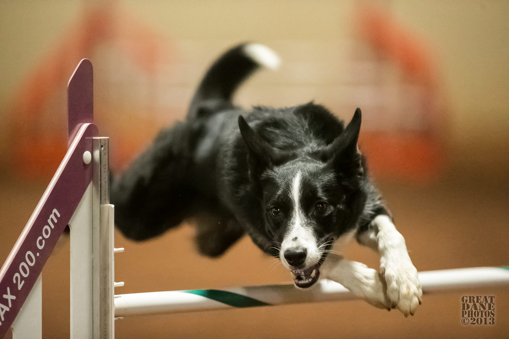 1614539_560615240695236_883973978_o