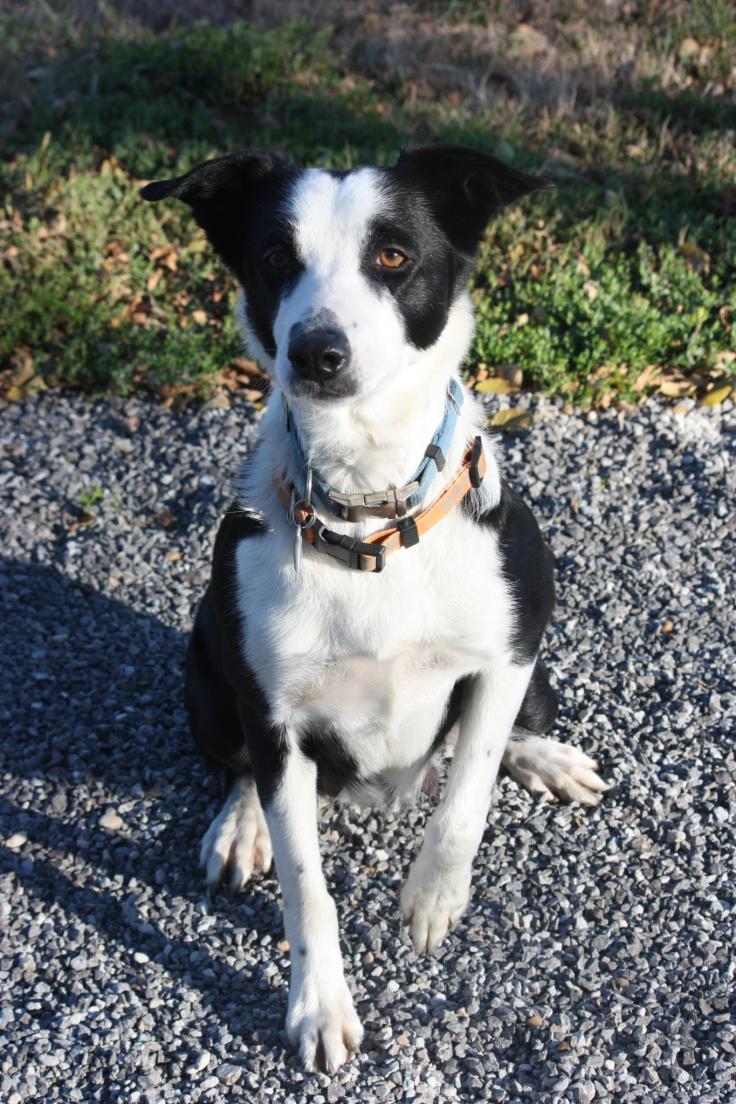 322739_2047146953089_1550261676_o-2